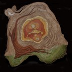 Tree of Plenty ~34 inch diameter+4 inch thick. Mixed Media on Spanish Elm.